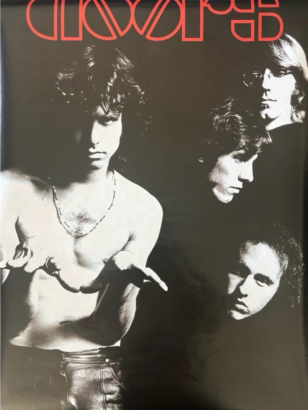 1999 Dors Poster Aprox Size 24x36 Inches